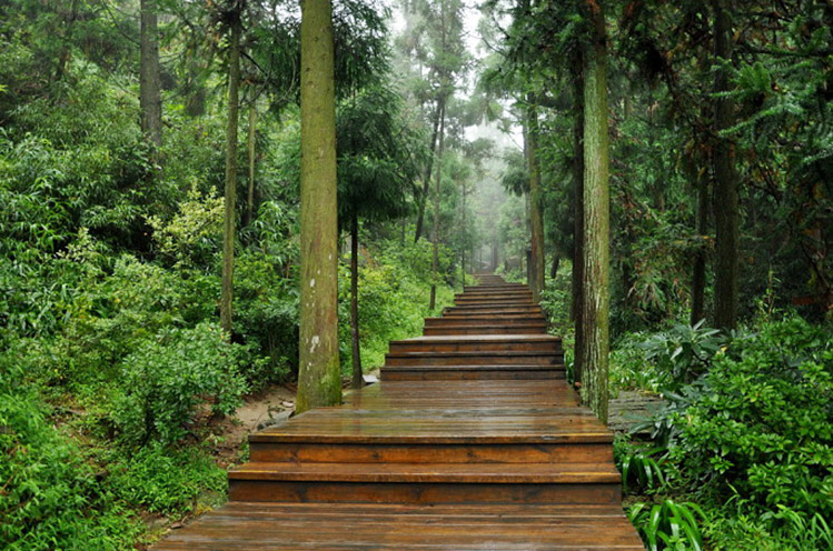 景觀設(shè)計的韻律探討圖片2