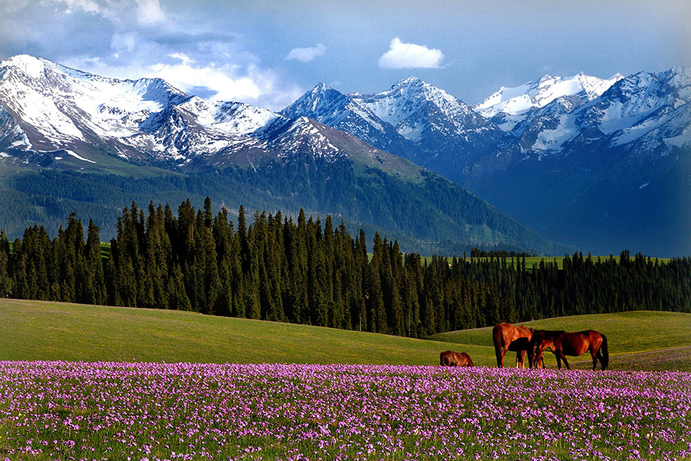 旅游區生態景觀圖片