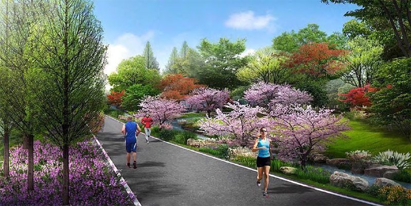 候鳥式養老圖片