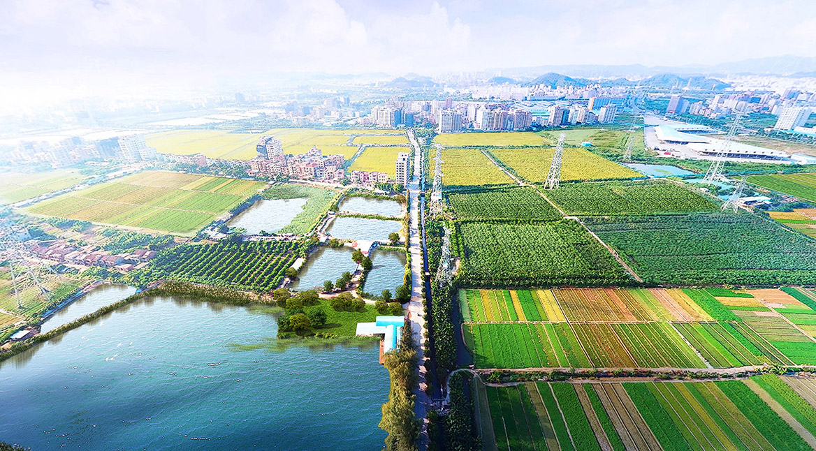 促進現代農業產業園良性發展的對策